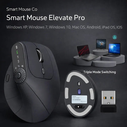 Smart Mouse Co