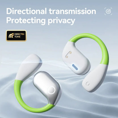 Ear-hook Bluetooth headphones